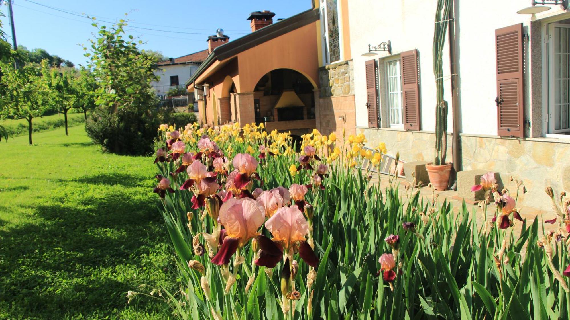 Casa Vacanze Ester Polverara Экстерьер фото
